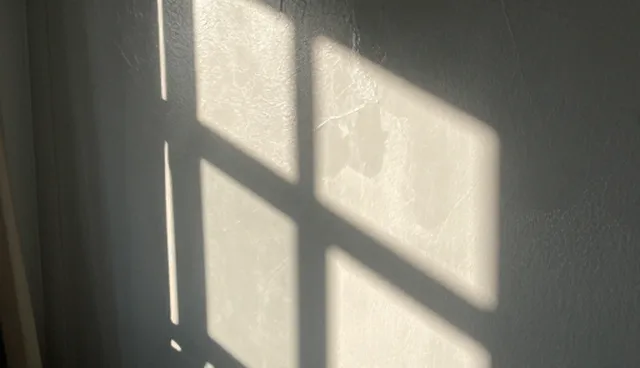 技术推广中用户参与度影响效果的原因分析